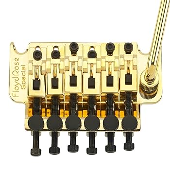 Amazon.co.jp: フロイド ローズ FRTS3000 フロイド ローズ FR